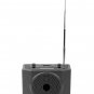 Voice Amplifier Speaker with Microphone Suitable for Event Hosting PA System