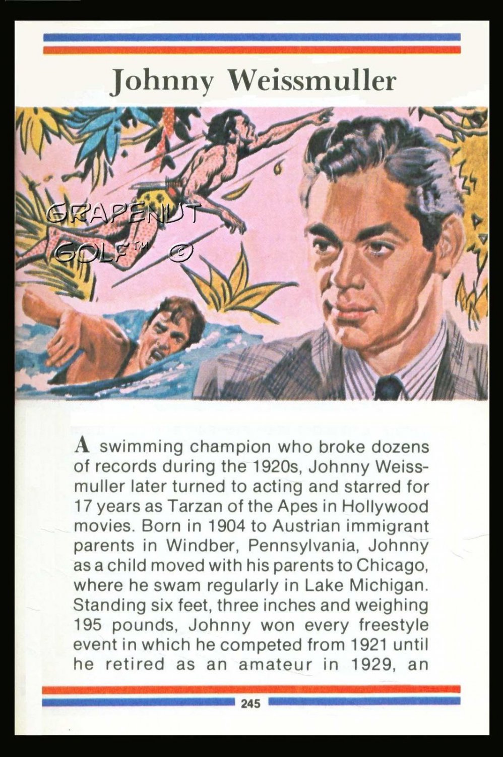JOHNNY WEISSMULLER TRUE VALUE ACTOR OLYMPIC GOLD MEDAL SWIMMING POLO CARD TARZAN