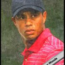 TIGER WOODS 2011 BALLY LIMITED PGA TOUR GOLF CARD SP #14/14