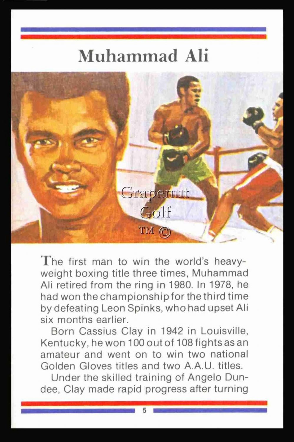 1981 TRUE VALUE SUBSET 17 CARD BOXER HALL OF FAME BOXING CHAMPS SET MUHAMMAD ALI