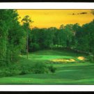VINTAGE GOLF COURSE SCENE DESIGN SINGLE PLAYING SWAP COLLECTIBLE NARROW CARD