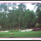 AUGUSTA NATIONAL GOLF CLUB MASTERS 13th GREEN PAR 5 AMEN CORNER RAES CREEK