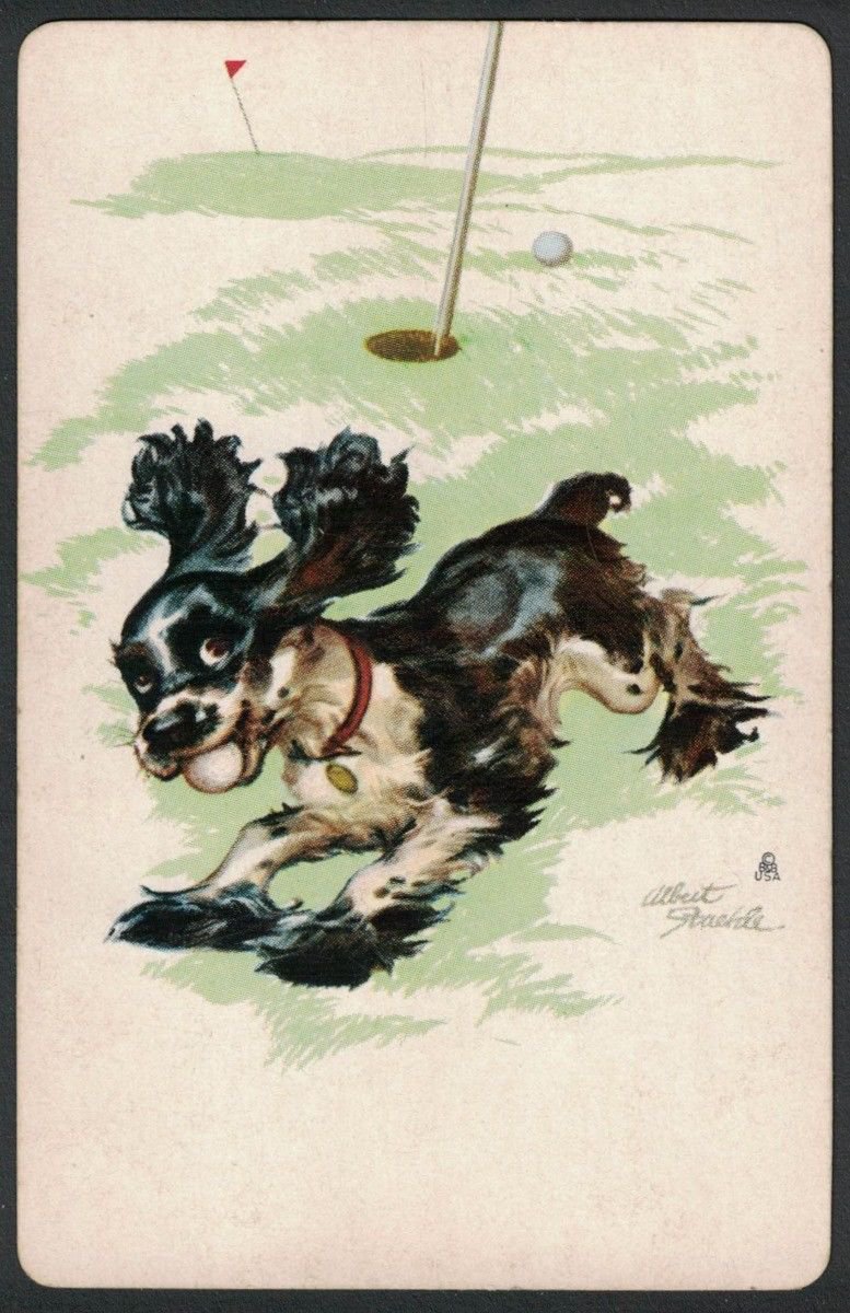 COCKER SPANIEL DOG BUTCH STAEHLE GOLF THIEF NO AD SINGLE PLAYING SWAP CARD