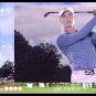 SUZANN PETTERSEN SOLHEIM CUP 2010 LPGA SUPER HOT TUTTA NORWAY SP GOLF CARD 1/10