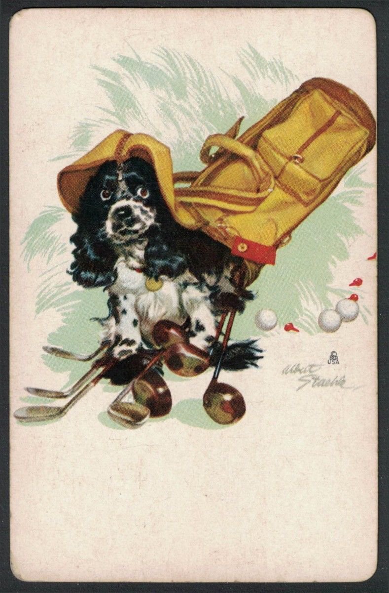 COCKER SPANIEL BUTCH GOLF DOG STAEHLE NO ADVERTISING SINGLE PLAYING SWAP CARD