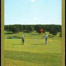 VINTAGE GOLD GILD BORDER GOLF PUTTING GREEN SINGLE PLAYING SWAP COLLECTIBLE CARD