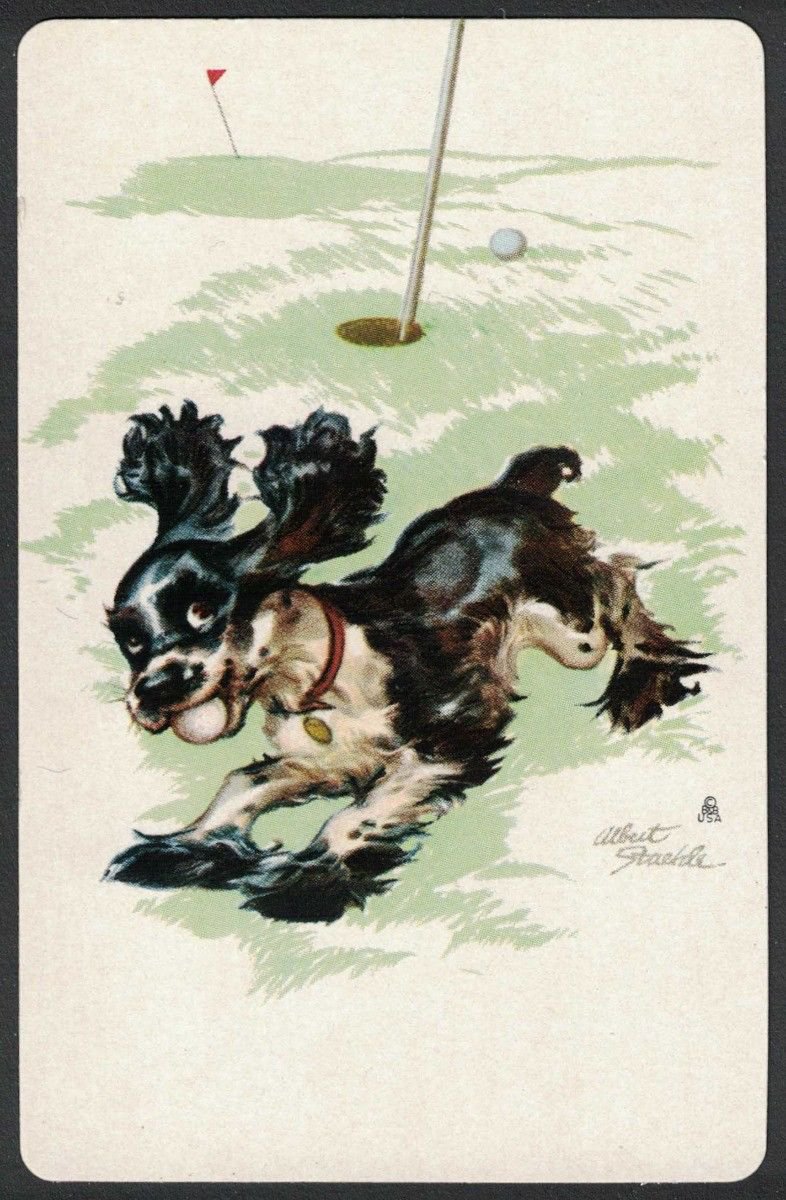 JOKER COCKER SPANIEL BUTCH DOG STAEHLE GOLF THIEF NO AD SINGLE PLAYING SWAP CARD