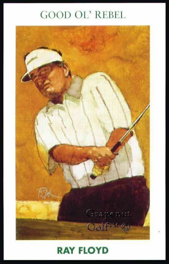 RAYMOND RAY FLOYD MUELLER GOLFS GREATEST VARIATION A SHORT PRINT SP CARD #23A