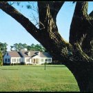 AUGUSTA NATIONAL GOLF CLUB MASTERS  MAMIES COTTAGE EISENHOWER VINTAGE POSTCARD