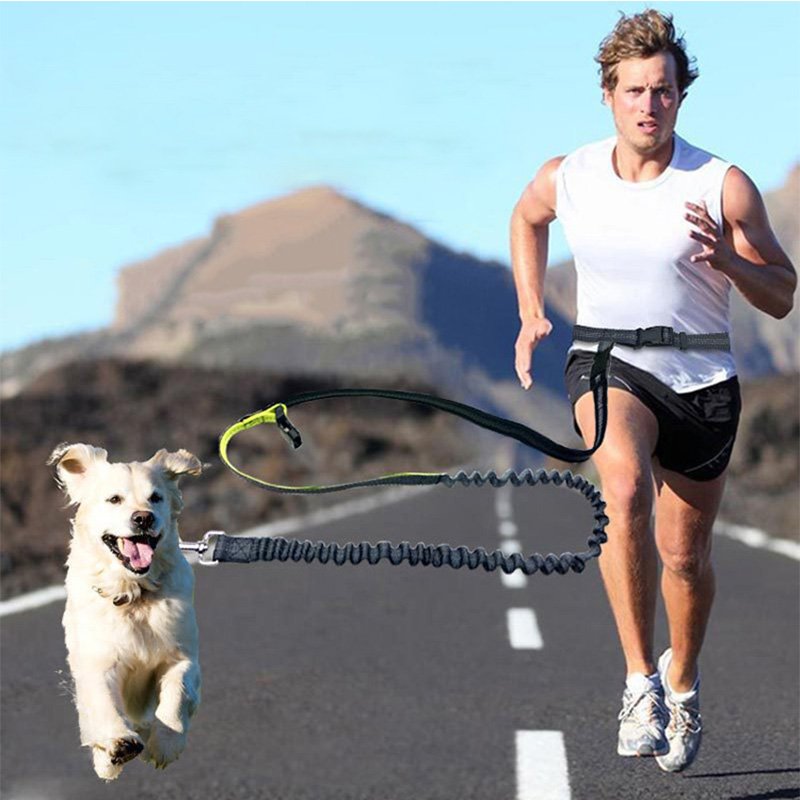 Elastic Waist Dog Leash Running Jogging Dog Sport Product