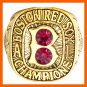 NL 1967 BOSTON RED SOX NATIONAL LEAGUE BASEBALL CHAMPIONSHIP RING MEN SIZE