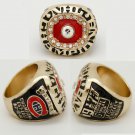 Amazing Quality 1973 Montreal Canadiens 'Dryden' Stanley Cup Championship R