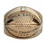 1948 philadelphia eagle  world championship ring  drop ship 12pcs/set-in Ri