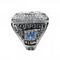 2016 CHICAGO CUBS WORLD SERIES CHAMPIONSHIP RING BRYANT/RIZZO/ZOBRIST REPLI