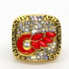 2002 Red Wings CHAMPIONSHIP RING