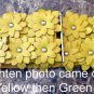 Stretch Belt With Dusty Yellow Green Floral Cut Flowers OS