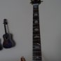 JERRY GARCIA (Grateful Dead) -1970s Rosebud 1:4 Scale Replica Guitar ~Axe Heaven
