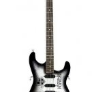 LOS ANGELES KINGS 1:4 Scale Replica Woodrow NorthEnder Guitar ~Licensed~