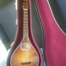 Miniature 9 Inch Replica Mandolin with Case & Display Stand ~NEW~