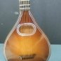 Miniature 9 Inch Replica Mandolin with Case & Display Stand ~NEW~