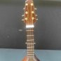 Miniature 9 Inch Replica Mandolin with Case & Display Stand ~NEW~