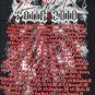 SLAYER - 2009 World Painted Blood T-shirt ~Never Worn~ M