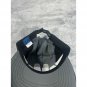 Dog Town Gray Skater Hat