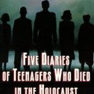 We Are Witnesses : Five Diaries of Teenagers Who Died in the Holocaust by Jacob
