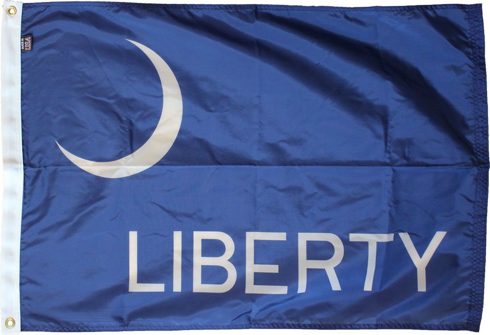 Fort Moultrie - 2"X3" Nylon Flag