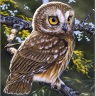 Saw Whet Owl Toland Art Banner
