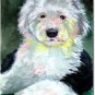 Old English Sheepdog - 11""x15"" 2-Sided Garden Banner