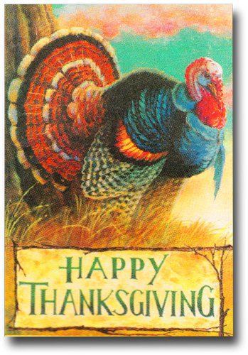 Wild Turkey Toland Art Banner