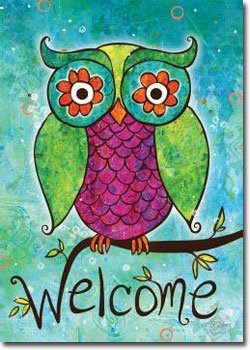 Rainbow Owl Toland Art Banner