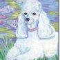 Poodle Art Banner - Bonet