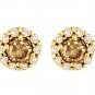 Chocolate Diamond Stud 14k Yellow Gold Earrings