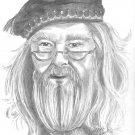 Professor Albus Dumbledore