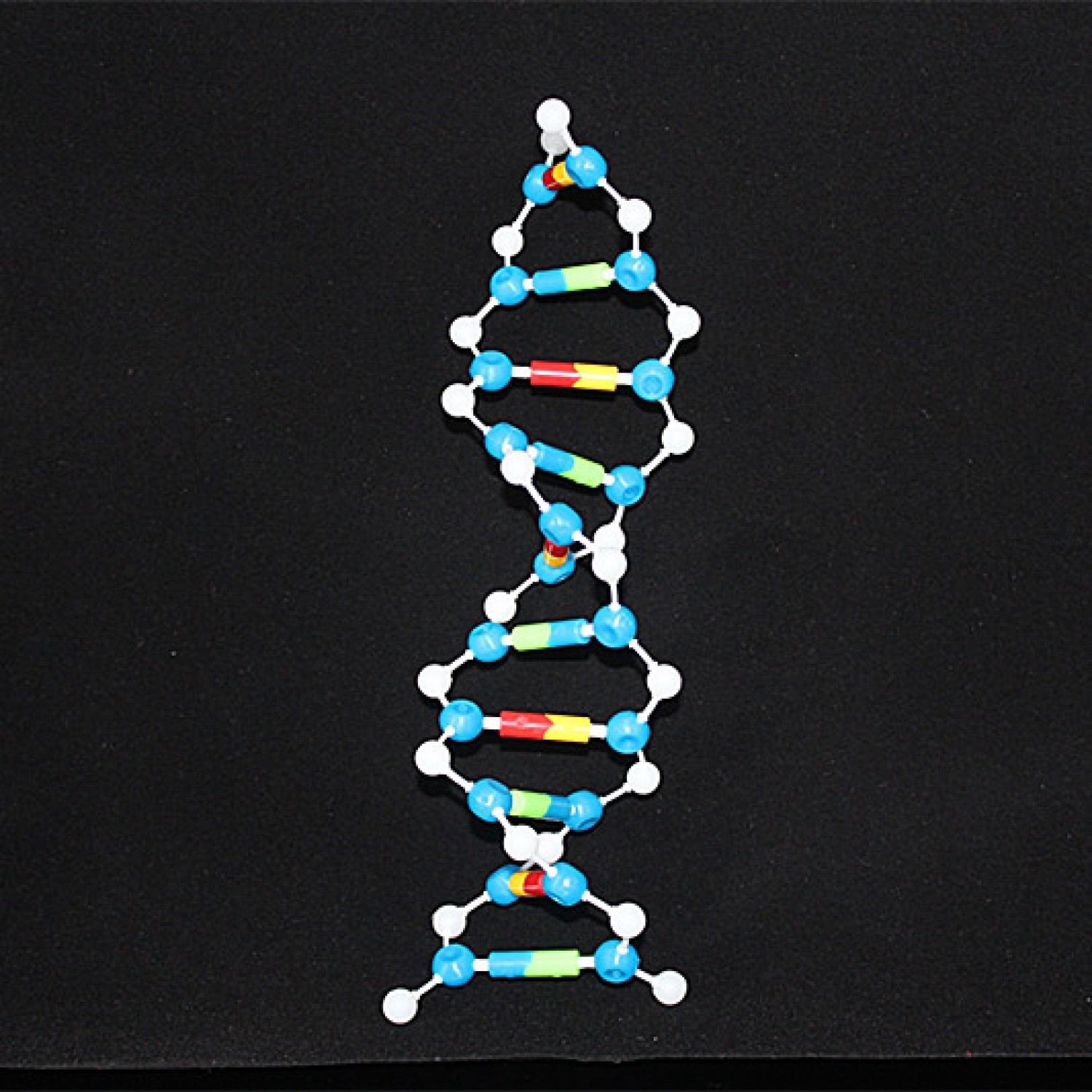 Модель ДНК 22 слоя AMDNA-060-22