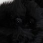 BLACK ALPACA FUR SHOULDER COLLAR SCARF