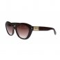 Brown Plastic Frame UV Lens Sunglasses