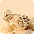 Brief Fashion Bling Garden Ball Zircon Crystal Stud Earring E4R
