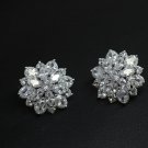 Flyleaf 925 Sterling Silver Aaa Zirconia Flowers Stud Earrin 2 E4R