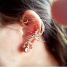 The New Fashion Imitation Crystal Earrings Exaggerated Lizar E4R