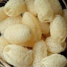 3 Inch Natural Body Scrub Loofah Pad (Set of 10)