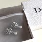 DIOR TRIBAL Grey Crystal Silver Stud Earrings Mise En Dior Tribale Authentic NIB