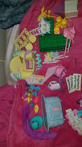 SHOW STABLE ACCESSORY LOT