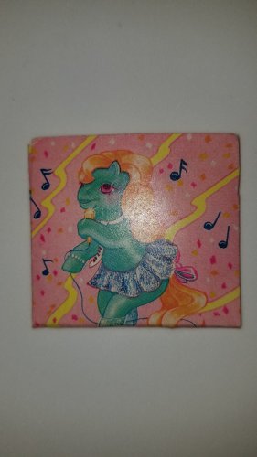Vintage G 1 My Little Pony MLP Slumber Party : Record Sleeve