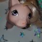 Vintage G 1 My Little Pony MLP -Baby Cotton Candy- Frizz