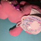 Vintage G2 My Little Pony MLP - Sundance beanie - damaged tags Vintage G2 My Little Pony MLP - Sundance beanie - damaged tags