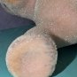 Vintage G1 My Little Pony - Buttons - So Soft (SS) unicorn