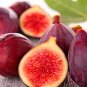 100pc Sweet Red Fig seeds Organic Edible Tropical fruit Mulberry family